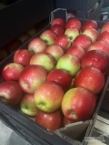 Przygotowujemy jabłko Idared 70+ w karton po wodnym rozładunku. Ilości samochodowe lub paletowe . 