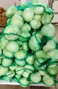 Sprzedam kapustę biała, odmiana Zenon, bardzo dobrej jakości, robiona na biało, wielkość głowy od 2-5 kg cena 0,7 zł/ kg, opakowanie...