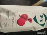 SCARLETT F1 (j.50 000n) nasiona buraka czerwonego firmy Pop Vriend Seeds oferuje GEPWEG dystrybutor nasion. Dostawa gratis. Płatność przy...