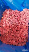 Sprzedam mrozona malina 50/50, 70/30. Kraj pochodzenia Maroko. Pakowanie 1x10kg. 