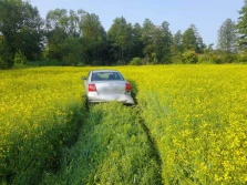 Wjechał w rzepak, żeby uciec przed kontrolą policji