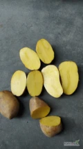 Sprzedam ziemniaki jadalne odmiana Soraya kaliber 50+ towar z chłodni z jasnej ziemi opakowanie big bag, luz, worek 
