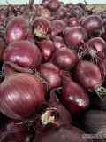 Sprzedam cebulę czerwoną kaliber 5-8/5-9 gruba cebula fazorowana worek 5/10 kg luz ilości tirowe i paletowe 