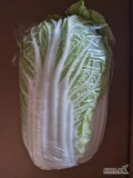 Sprzedam kapustę pekińską, waga od 1,5 kg, ilości hurtowe. Więcej informacji pod numerem tel. 603171566.