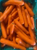 Sprzedam marchew w kalibrze 2-4. Myta, towar jakość marketowa