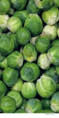 Kupię brukselkę każdą ilość musi być czysta cena do uzgodnienia odbiór osobisty płatność przy odbiorze 
