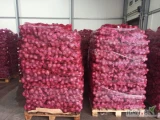 Kupię buraczki  czerwone handlowe kaliber +5 -10 worek 15kg na palecie