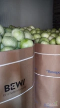Sprzedam kapustę białą  bardzo dobrej jakości towar z chłodni kaliber 1-4kg opakowanie karton box oraz kapusta czerwona kaliber 1-3kg...