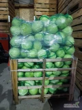 Sprzedam kapustę z chłodni ilość 4-6 ton worek 20 kg cena transport do ustalenia