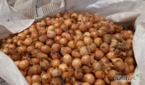 Sprzedam cebule drobną cebulę  30-40 na wysadke, tackę, szczypior, opakowanie big bag worek