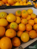 Sprzedam pomarańcze navel 2 klasy na soki: