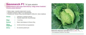 Savoy King F1 , Savonarch F1 nasiona kapusty włoskiej firmy SAKATA oferuje GEPWEG dystrybutor nasion. Dostawa gratis. Płatność przy...