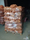 Cebula gruba 8+, jasna, złocista, z połyskiem łuska, nadająca się na worek, możliwość zrobienia w dowolne opakowanie, ok. 20 ton.