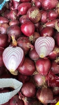 Witam sprzedam cebulę czerwoną kaliber 4/5+ przewaga 6/7
