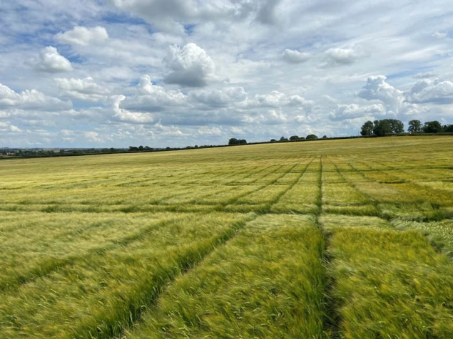 Zakończenie procesu przejęcia przez RAGT działalności firmy Syngenta w zakresie nasion jęczmienia browarnego dwurzędowego