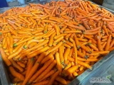 Sprzedam drobną marchew. Towar myty. Dostępne 5 ton. Luz - 0,40 gr. Worek 10 kg. - 0,50 gr. Zapraszam  