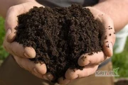 Sprzedam Profesjonalne substraty, podłoża i torfy