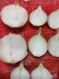 Sprzedam ilości tirowe cebuli żółtej w worku 5,10,15 kg. Kaliber do uzgodnienia. Sucha ładna cebula z przechowalni. Zapraszam