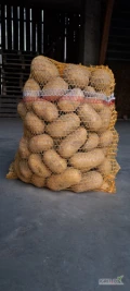 Sprzedam ziemniaki Queen Anne opakowanie 5/10/15/30/500  do uzgodnienia  