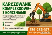 Wycinka drzew,karczowanie sadów i samosiewu od 1ha ,na czysto z korzeniami.