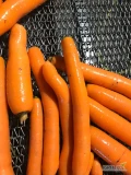 Marchew myta 2-4. Ilości paletowe. Towar z chłodni. Faktura vat