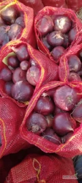 Sprzedam czerwoną cebulę import Egipt  ilości tirowe zapraszam 