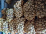 Sprzedam ziemniaki jadalne Ignacy 35mm+. Worek lub luz.