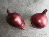 Cebula czerwona 6+,