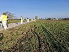 Kolejne dziki z ASF pod Piotrkowem