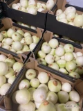      Sprzedam wysokiej jakości białą/czerwoną cebulę obraną. Nasz produkt pochodzi z najlepszych upraw, co gwarantuje...