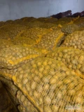 Sprzedam ziemniaki odmiany soraya naszykowane 12000kg w workach 25kg, kaliber 30-45. Sprzedaż najchętniej w całości 70gr za kg. 