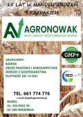 SKUPUJEMY- rzepak, zboże paszowe i konsumpcyjne, odbiór z gospodarstwa, płatność do 14 dni, minimum 25 ton. Istnieje możliwość...