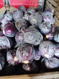 Sprzedam kapustę czerwoną.Towar zdrowy z nalotem. Cena 90 gr. Kg