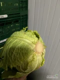 Sprzedam kapustę włoską po 8 kg, obrana bardziej na biało - 400 opak., okolice Kalisza. 