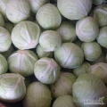 Kupię kapustę białą handlową  kaliber 1kg. -4 kg  w karton boks ilości tirowe  płatne na załadunku 