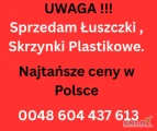 Sprzedam skrzynki uży asortymęt ładunki pełno pojazdowe
