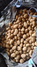 Sprzedam ziemniaki jadalne Soraya, Twister ilości tirowe kaliber do uzg worek szyty, luz, big bag 