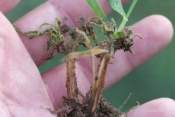 Czy to zima czy przedłużona jesień?