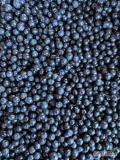 We sell wholesale cleaned wild blueberries of Latvian origin. We are located in Valmiera, Latvia. Tel. +37129231784.
