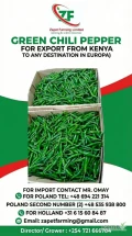 Kenya-origin green chilli peppers. DELIVERY KATOWICE WARSAW KRAKOW every week by air cargo....Direct from grower. for orders and quotation...