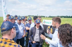 Dni Pola RAGT: pszenice, rzepaki i genetyka po nowemu