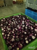 Witam. Oferuję cebulę czerwoną obraną . Pakowanie vacuum, worek raszlowy 10 kg, kisten 400 kg.
