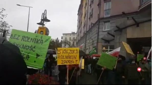 Ustawa poprawiona przez Senat nie zadowala protestujących