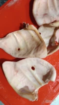 Kupię wątrobę wieprzowa,nerki wieprzowe, tchawicę wieprzowe, płuca wieprzowe,,ucho klaps