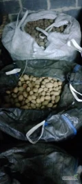 Sprzedam ziemniaki bellarosa bigbag po sortowaniu czyste bez uszkodzeń i pacyn 45+ ilość około 15-16 ton.