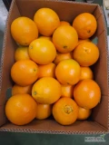 Sprzedam pomarańcze navel oranges. Kraj pochodzenia: Egipt