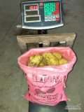 Bezpośredni importer sprzeda młode ziemniaki Egipt odmiana Spunta worek 10 kg - ilości tirowe lub paletowe. Towar dostepny w 97-500...