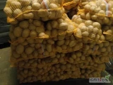Sprzedam ziemniaki, odmiany: Tonacja, Connect, Soraya.