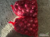 Sprzedam ostatnie 50 woreczków czerwonej cebuli pakowane po 5 kg , ręcznie obierana więcej info pod numerem tel 721653904