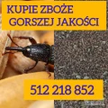 Kupię rzepak również zanieczyszczony gorszej jakosci szybki odbiór i płatność po załadunku 